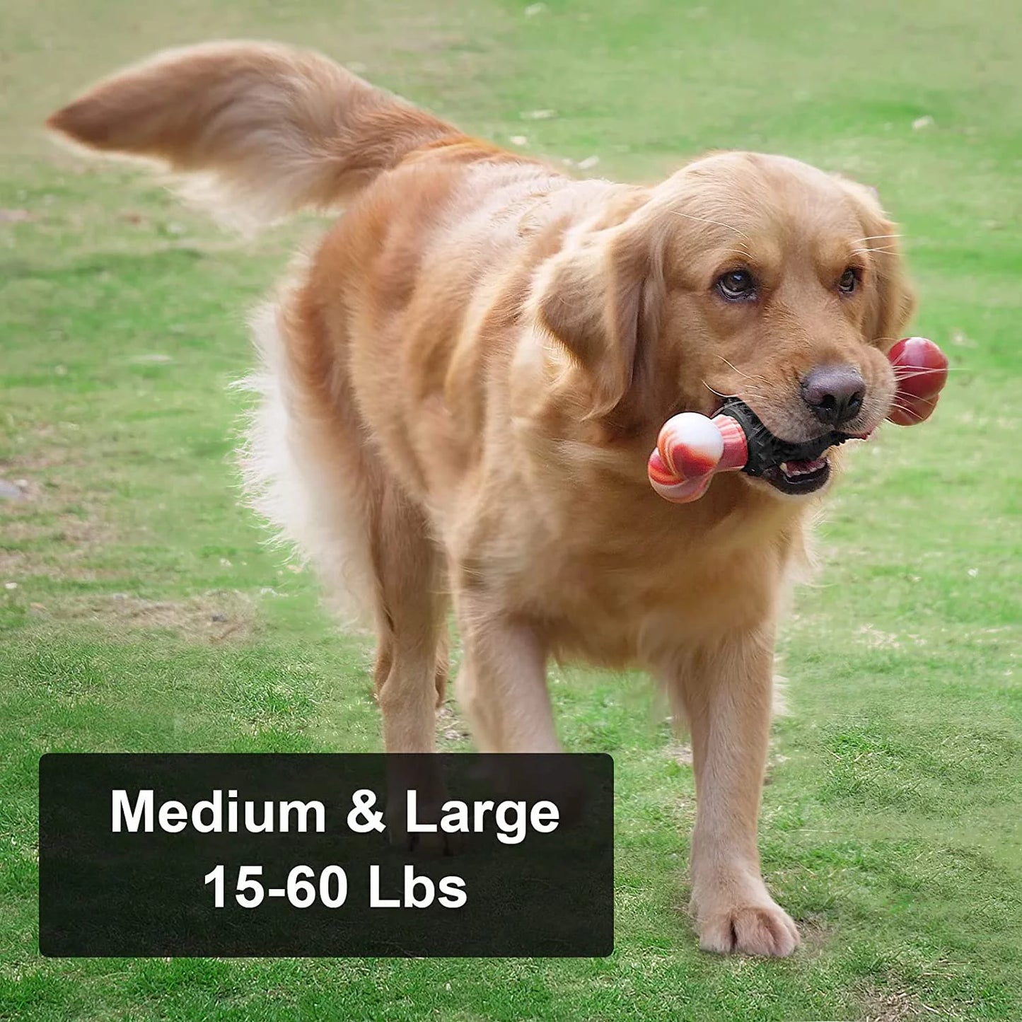 Juguetes Para Perros Para Masticadores Agresivos Hueso Juguete Para Perros Juguetes Interactivos Para Perros Grandes Juguetes Para Masticar Para Masticadores Agresivos, Dinosam Juguete Indestructible Para Perros Medianos Y Grandes