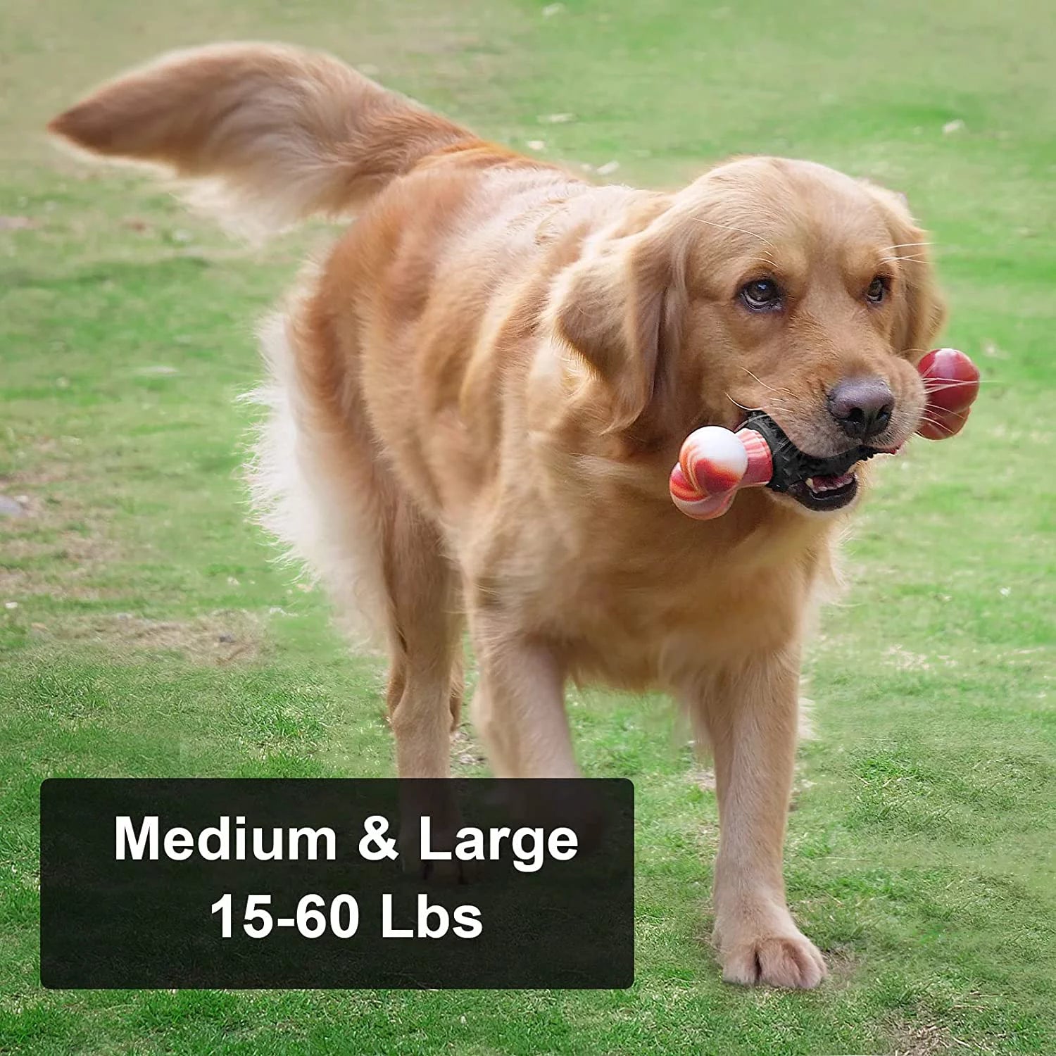 Juguetes Para Perros Para Masticadores Agresivos Hueso Juguete Para Perros Juguetes Interactivos Para Perros Grandes Juguetes Para Masticar Para Masticadores Agresivos, Dinosam Juguete Indestructible Para Perros Medianos Y Grandes